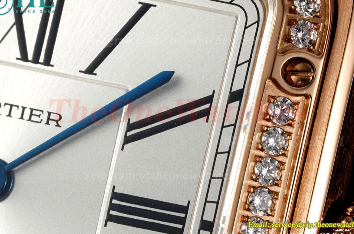 Santos RG Dumont LE Quartz AF Blk Dia Dial Silver 0228